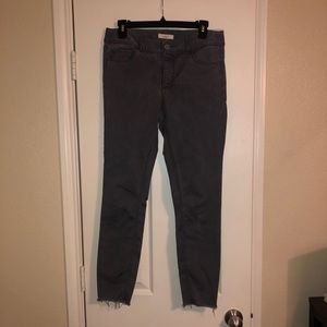 Loft gray pants